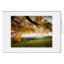 Autumn Leaves, Our Special Moment Card