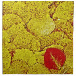 Autumn Leaves - Painting Art Cloth Napkins