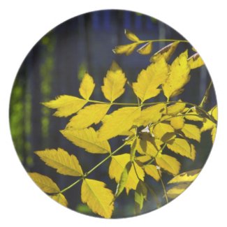 autumn leaves party plates