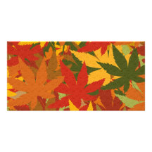 Autumn Leaves Picture Card