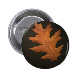 Autumn Leaves Pin
