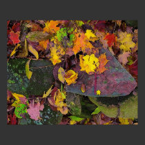 Autumn leaves ,pink field stones , poster posters by GinaSignore Autumn leaves ,pink field stones , poster posters