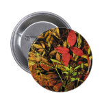 Autumn Leaves Pins