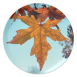 autumn leaves plates