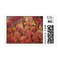 autumn leaves stamp