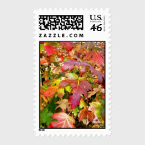 'Autumn Leaves' Postage stamps