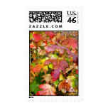 'Autumn Leaves' Postage