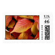 Autumn Leaves  postage