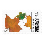 Autumn Leaves stamps
