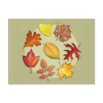 Autumn Leaves Postcard