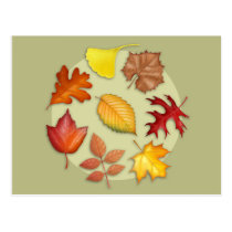 Autumn Leaves Postcard postcards