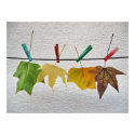 autumn leaves posters by patrickrp autumn leaves posters