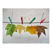 autumn leaves posters by patrickrp autumn leaves posters