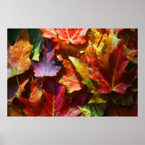 Autumn leaves print