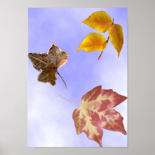 Autumn Leaves print