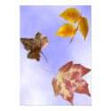 Autumn Leaves posters by kchwxdr Autumn Leaves posters