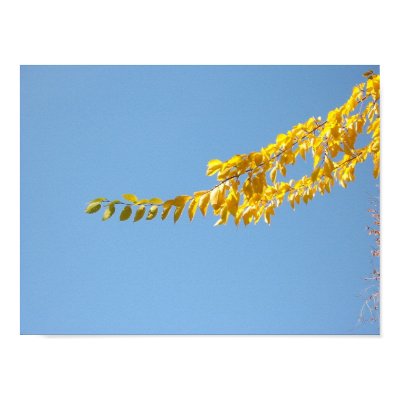 Autumn leaves print by ahawks