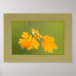 Autumn Leaves poster