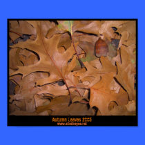 Autumn Leaves posters