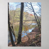 Autumn Leaves Poster Prints posters