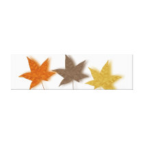 Autumn Leaves Print canvas prints