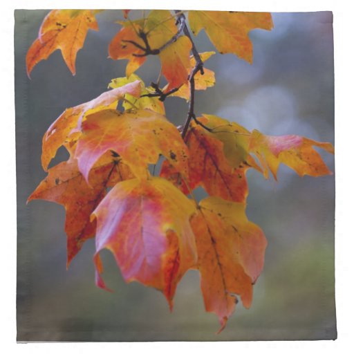 Autumn Leaves Printed Napkins