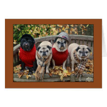 Autumn Leaves Pug Card