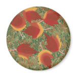 Autumn Leaves Red Maple Abstract on Grass magnets