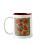 Autumn Leaves Red Maple Abstract on Grass mugs