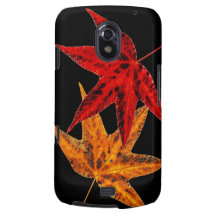 Autumn Leaves Samsung Galaxy Nexus Case