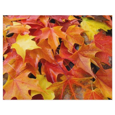 Autumn Leaves Scrapbooking paper Fall Leaves Customized Letterhead by Basleeartprintgifts