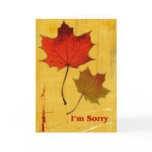 Autumn Leaves Sorry Cards