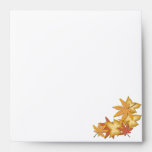 Autumn Leaves Square Invitation Envelope