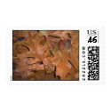 Autumn Leaves Stamp by elledeegee Autumn Leaves Stamp