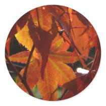 Autumn Leaves stickers