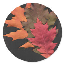 Autumn Leaves Sticker