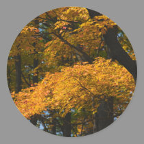 Autumn Leaves Sticker by nedell Autumn Leaves Sticker