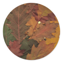 Autumn Leaves Round Sticker
