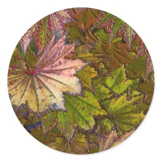 Autumn Leaves - Sticker sticker
