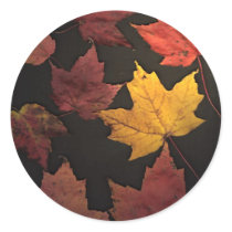 Autumn Leaves Round Stickers
