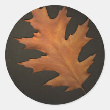 Autumn Leaves Sticker