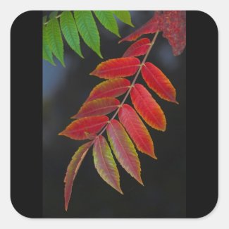 autumn leaves sticker
