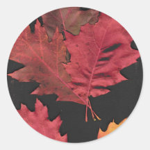 Autumn Leaves Stickers