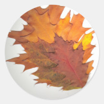 Autumn Leaves Stickers