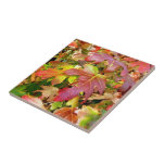 'Autumn Leaves' Tile/Trivet