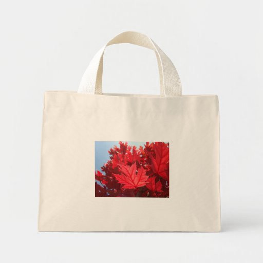 Autumn Leaves tote bag gifts Red Fall Tree Leaves