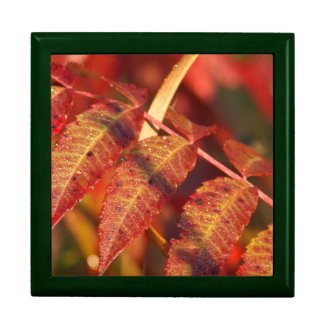 Autumn Leaves Trinket Box