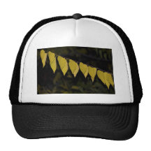 autumn leaves trucker hat