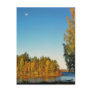 Autumn Light Postcard