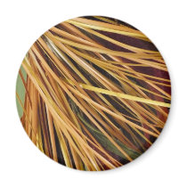 Autumn  Lines magnets